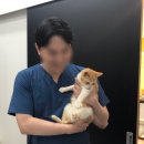 은하수 동물병원 이미지