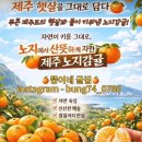 수복 | 광고없는 내돈내산 제주도 뿡어네귤집 설탕보다 달콤한 겨울별미 제주감귤 솔직후기