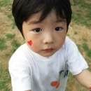 산흥초교 네이버블로그