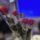 국제메디칼 | 경기 동탄 2025 ISO17024 메디컬 에스테틱 국제자격 인증식 후기