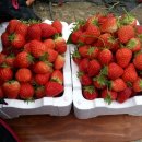 대운2농장 이미지