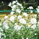 (주) 생각의 씨앗