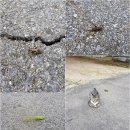 화암면사무소 | 행복한 동행 41번째 이야기(화암약수)