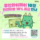 와이31 이미지