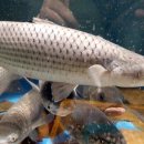 은화횟집 이미지