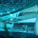 국립해양박물관 이미지