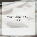 나의 댕댕이 이미지