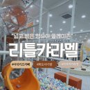 시도 경춘로 | 마석 아이와 갈만한 넓고 깨끗한 실내놀이터 “리틀캬라멜” 내돈내산후기