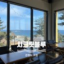 강원도 고성 아야진해변 대형카페 시크릿블루
