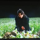 무장농장 이미지