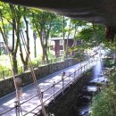 솔내음과 물소리 이미지