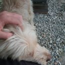 배내미낚시터 이미지