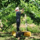 은식농장 이미지