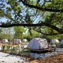 함평나비마을 서울캠핑장 이미지