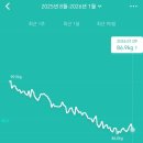 충일약국 | 충주 마운자로 4개월차 리얼 후기 (-13kg 감량) : 가격, 처방 성지, 부작용 총정리 (ft. 위고비도 이긴...