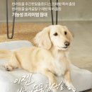 스마일양한방동물병원 이미지