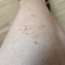 죽림한의원 이미지