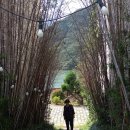 웰부동산중개사무소 이미지