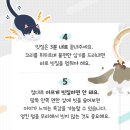 닥터캣 고양이병원 이미지