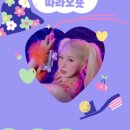 라이온쇼핑 이미지