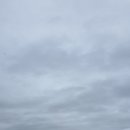 영재 par3 골프랜드 이미지