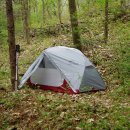 엠에스알 이미지