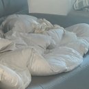두리디엠