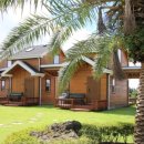 산방산의 품 이미지