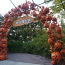 금화파크 이미지