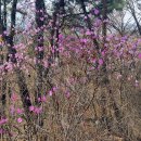 삼기저수지 등잔길 이미지