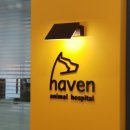 헤이븐동물병원 이미지