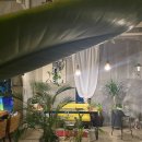 티카페한량 이미지