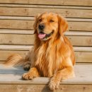 모아한의원 이미지