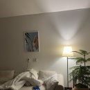 빌라 달모어 이미지