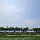 남대천둔치 화장실 이미지