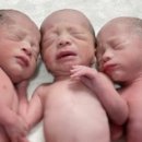 호랑이형제 이미지