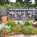 여수가볼만한곳 수국 숲이 아름다운 장도에서 즐기는 로컬감성여행