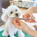 거명공인중개사사무소 이미지