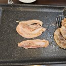 돼지한마리 이미지