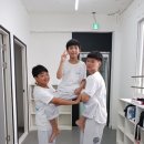 위올태권도 이미지