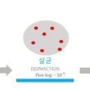 아이린의원 네이버블로그