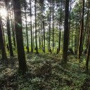 달마약수터 이미지