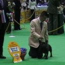 달타냥 이미지