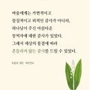 감사365
