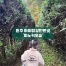 피노키오유치원 | 아이와 카라반여행하기 좋은 곳 강원도 원주 피노키오숲 캠핑장에서 힐링하기