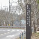 함안 대송리 늪지식물 | 함안 대평늪(함안 대송리 늪지 식물)