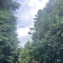 정이목장 이미지