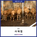 울안농장 이미지