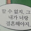 비올레브