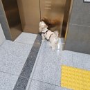 줄투와트 | 2026년 중간 점검 상반기 일상 블로그 일기